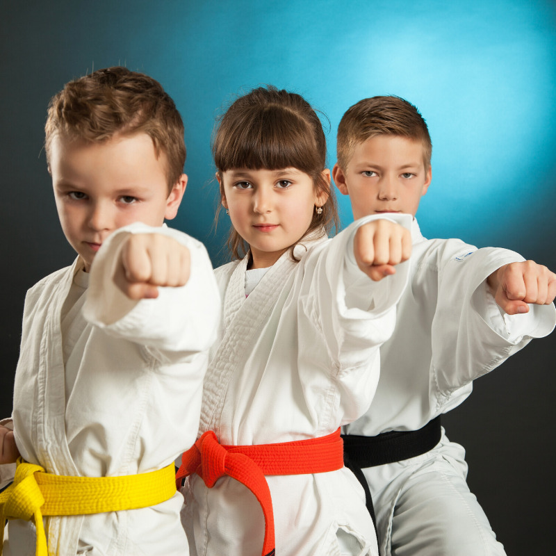 Martial Arts Classes for Kids / Adults 3